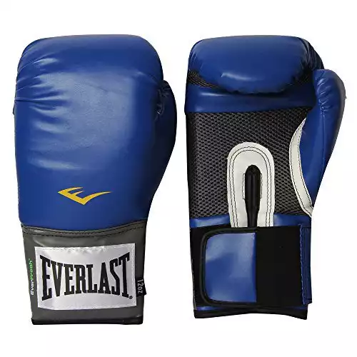 Everlast MX Professional Boxing Gloves Review